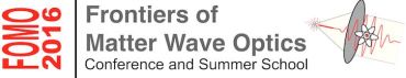FOMO 2016 <Matter waves optics> September 3-17, 2016